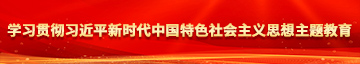 男人艹女人视屏学习贯彻习近平新时代中国特色社会主义思想主题教育